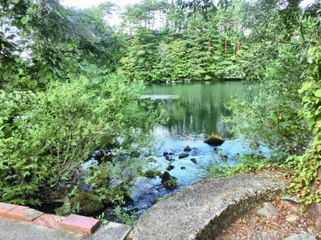 五色沼の風景-5 五色沼,福島県北塩原村,磐梯高原の写真素材