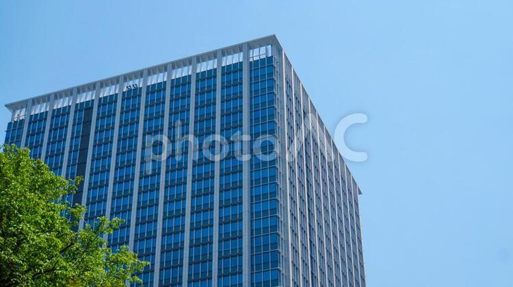 ガラスのビルと青空と青々と生い茂る木 ビル,建築,木の写真素材