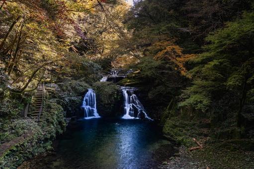 三重-【赤目四十八滝（紅葉）】 赤目四十八滝,赤目四八滝,川の写真素材