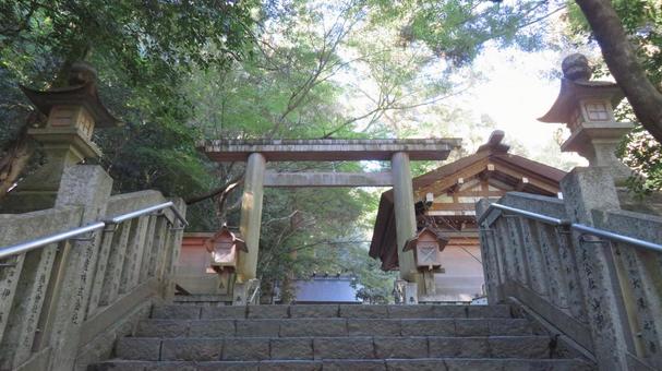 多度大社　於葺門への参道 多度大社,神社,神社仏閣の写真素材
