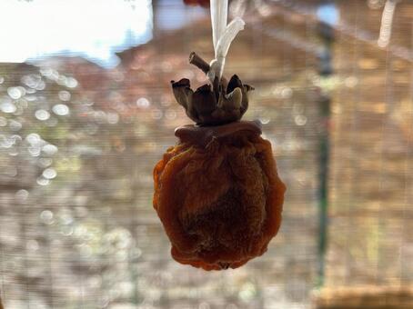 干し柿 干し柿,柿,渋柿の写真素材
