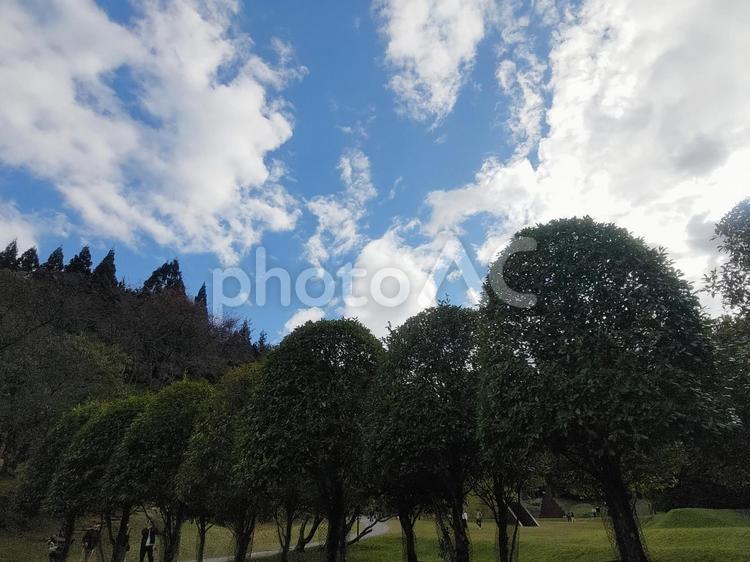 緑のある風景 青空,緑,風景の写真素材