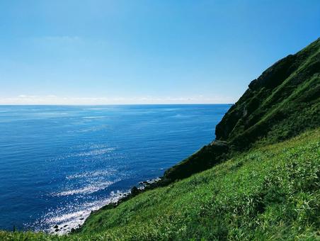 海と緑 海と緑の写真