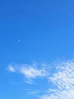 秋空に月 秋空に月 空,月,晴れの写真素材