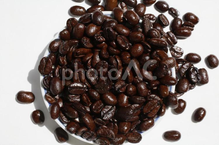 コーヒー豆　アラビカ種　香り コーヒー豆,アラビカ種,珈琲豆の写真素材