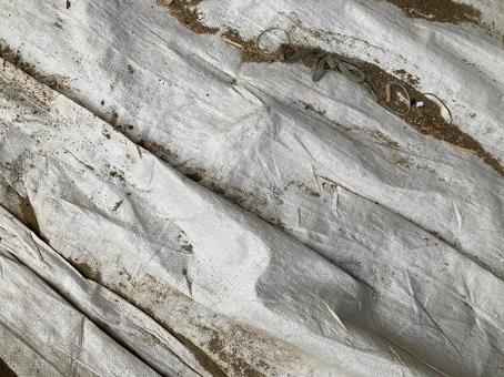 地面の白いシート背景素材 地面の白いシート背景素材の写真
