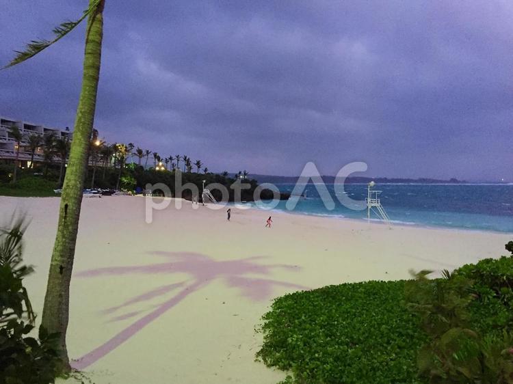 ヤシのシルエット ヤシの木,シルエット,海の写真素材