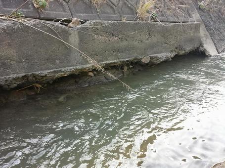 Photo, seawall, erosion, concrete, 