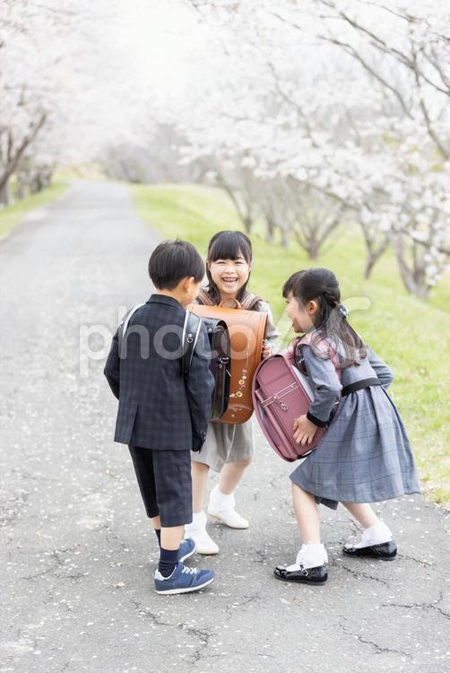 入学式イメージ　はしゃぐ新一年生 入学式,小学生,女性の写真素材