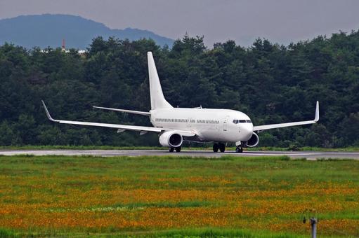 飛行機 ボーイング737 飛行機 ボーイング737 旅客機,航空機,フライトの写真素材