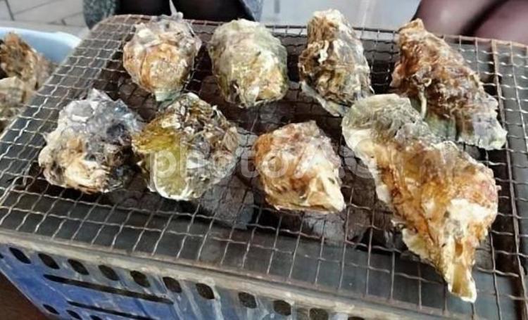 牡蠣浜焼き 浜焼き,牡蠣,磯焼の写真素材