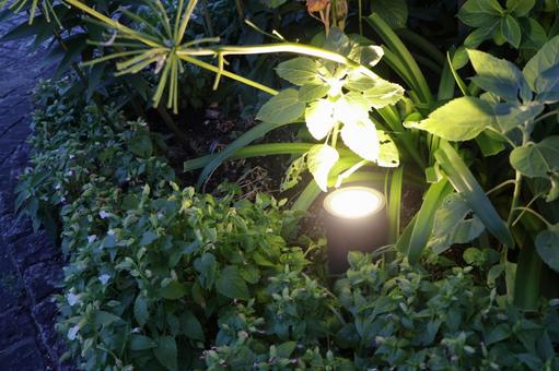 Photo, garden light, solar light, court, 