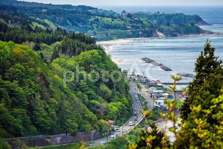 峠から見下ろす初夏の海岸道路 海岸,国道,風景の写真素材