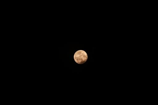 秋の満月 秋の満月 月,夜,風景の写真素材