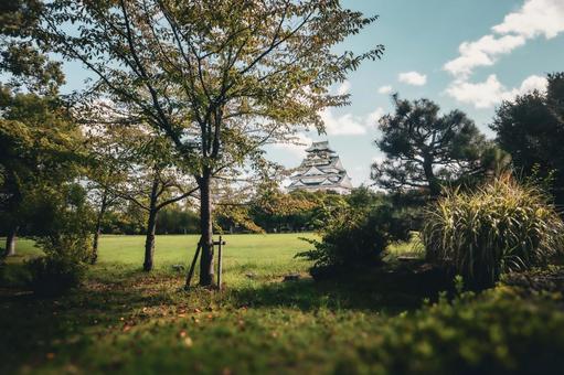 木立の間から大阪城天守閣を望むの写真
