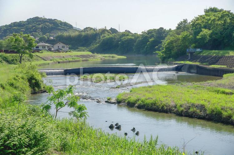 浜松市 井伊谷川と新清水堰（静岡） 井伊谷川,新清水堰,浜松市の写真素材