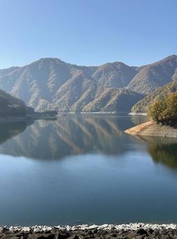 秋の福井県の九頭竜ダム　紅葉に色づく湖 ロックフィルダム,湖,自然の写真素材