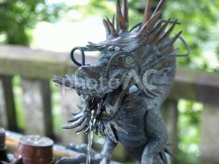 手水舎　龍 手水舎,龍,大山阿夫利神社の写真素材