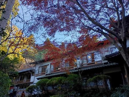 秋の日本家屋01 秋,紅葉,晴れの写真素材