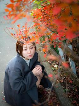 31: A woman strolling through a park with autumn leaves, JPG
