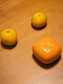 旬の果物：柿と柑橘 柿,みかん,柑橘類の写真素材