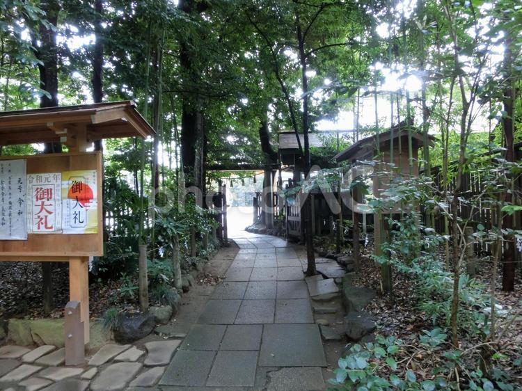 駒木諏訪神社の風景-55 駒木諏訪神社,千葉県流山市,諏訪之宮の写真素材