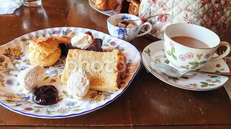 ケーキプレート ケーキ,ケーキプレート,シフォンケーキの写真素材