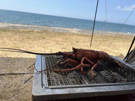 バーベキュー 伊勢海老,バーベキュー,キャンプの写真素材