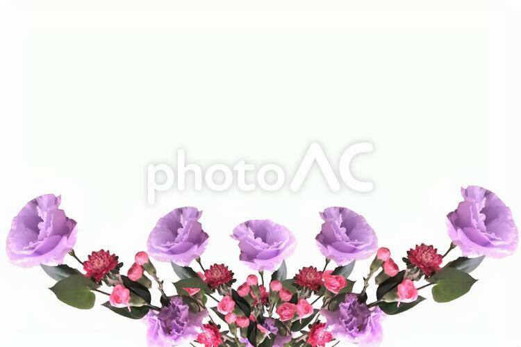 フラワー　枠 花,フラワー,フレームの写真素材