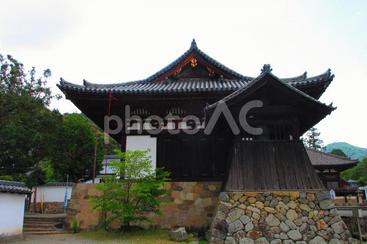 奈良県-當麻寺-金堂と鐘楼 當麻寺,寺,二上山の写真素材