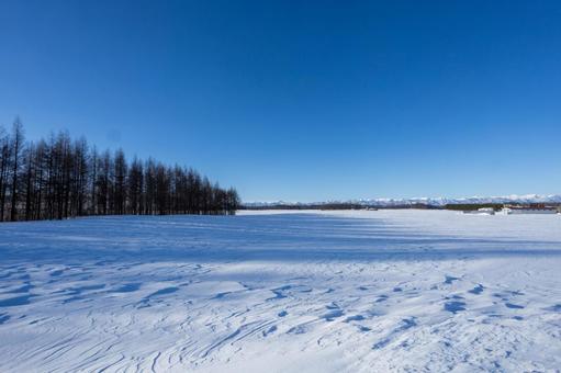 広大な雪原に描かれる風紋 広大な雪原に描かれる風紋の写真