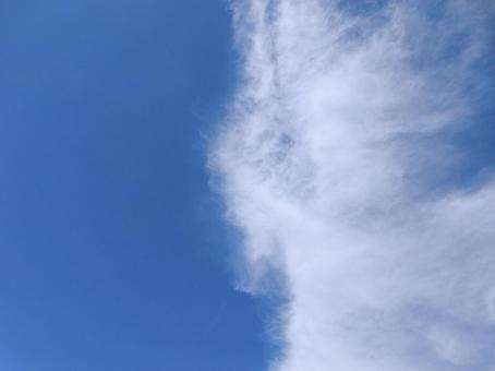 【空の写真】夏空 【空の写真】夏空の写真