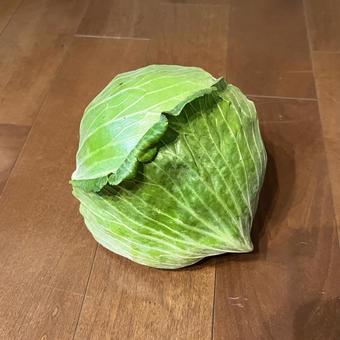 キャベツの写真