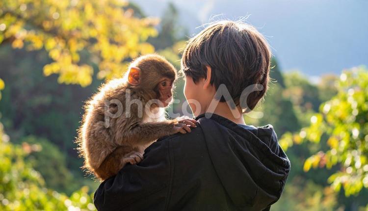 男の子　肩に止まる小さなサルにえさやり 猿,男児,餌付けの写真素材