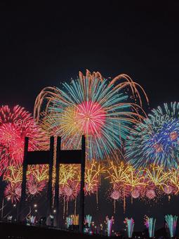 花火（縦構図） 東京競馬場花火,夜空,花火の写真素材