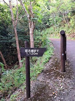 奄美大島　宮古崎まで 奄美大島,奄美,大和村の写真素材