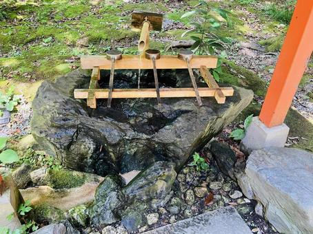 Photo, kashihara shrine, kashihara city, nara prefecture, a shrine, 