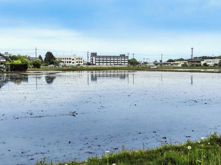茨城県東茨城群茨城町 田水張る春の水田 茨城県東茨城群茨城町 田水張る春の水田 水田,田圃,田んぼの写真素材