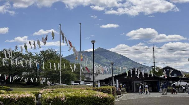 Carp streamers in Ashikaga City, Tochigi Prefecture 1, JPG