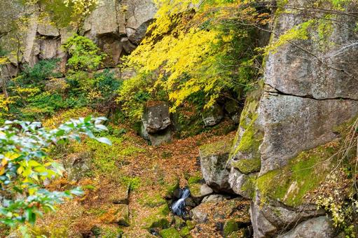 秋の磊々峡(22) 秋,紅葉,磊々峡の写真素材