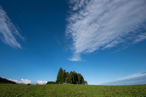 穏やかな牧場で雄大な空が広がる丘 丘,木立,牧場の写真素材