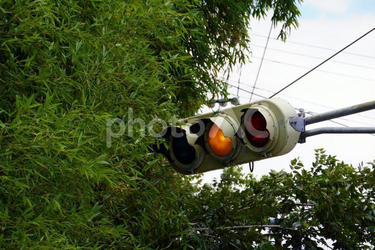 破損した信号機 信号,電球式,空の写真素材