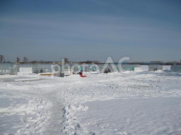 ワカサギ釣り風景 北海道,冬,雪の写真素材