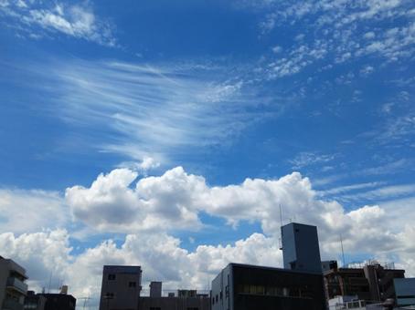 綿菓子のような白い雲は積雲 綿菓子のような白い雲は積雲 空,青空,白い雲の写真素材