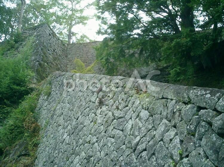 岡城登山道の石垣 岡城の写真素材