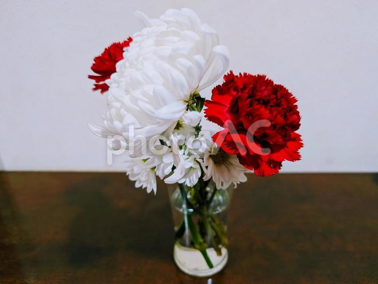 白い菊と赤いカーネーション カーネーション,菊,赤の写真素材