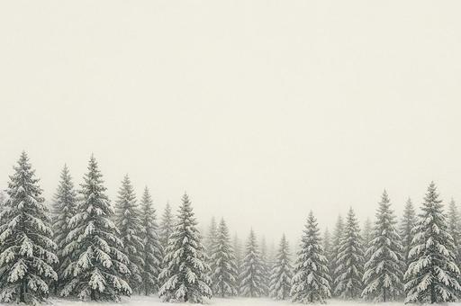 雪に覆われた森の静寂 雪に覆われた森の静寂の写真