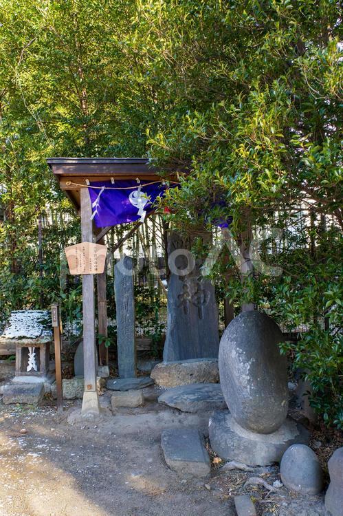 諏訪神社⒆ 神社,諏訪神社,神社仏閣の写真素材