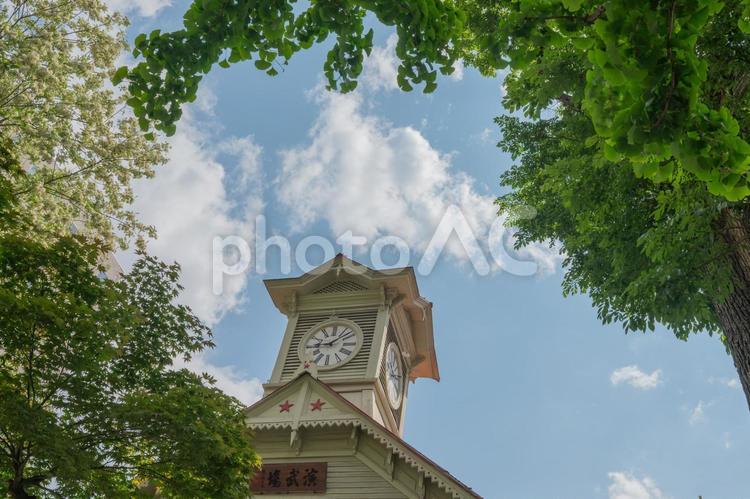 青空と緑と札幌時計台 札幌時計台,文化財,青空の写真素材