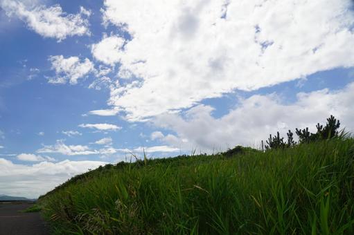 自然の風景 自然の風景の写真